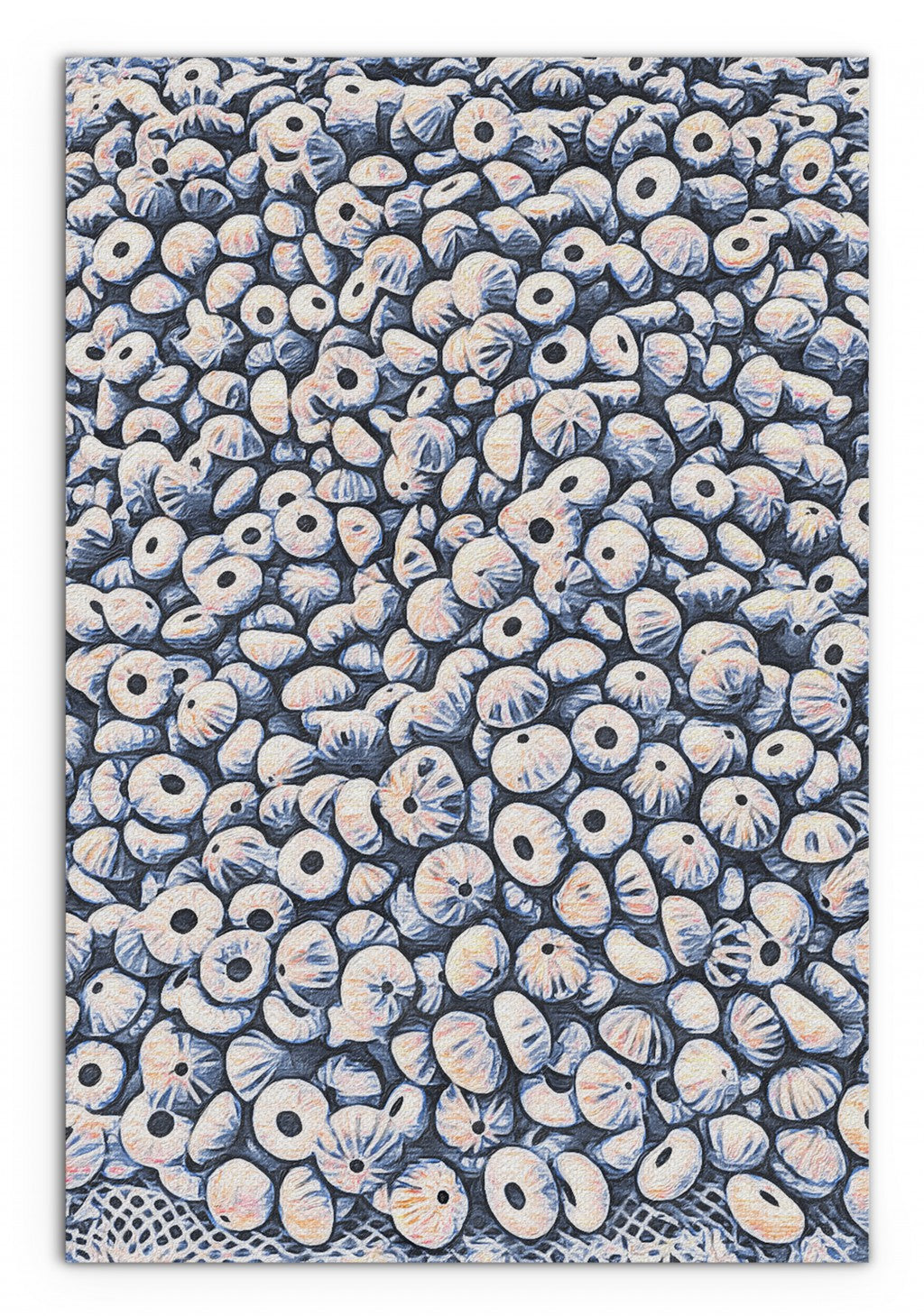 Endless Shells Matte Canvas Wrapped Canvas Print Wall Art